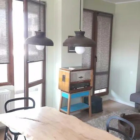 Vasile Lascar View Bükreş
