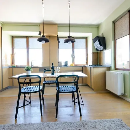 Apartment Vasile Lascar View